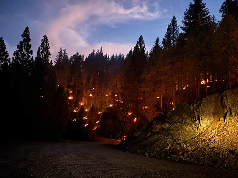 Terra Fuego Resource Foundation