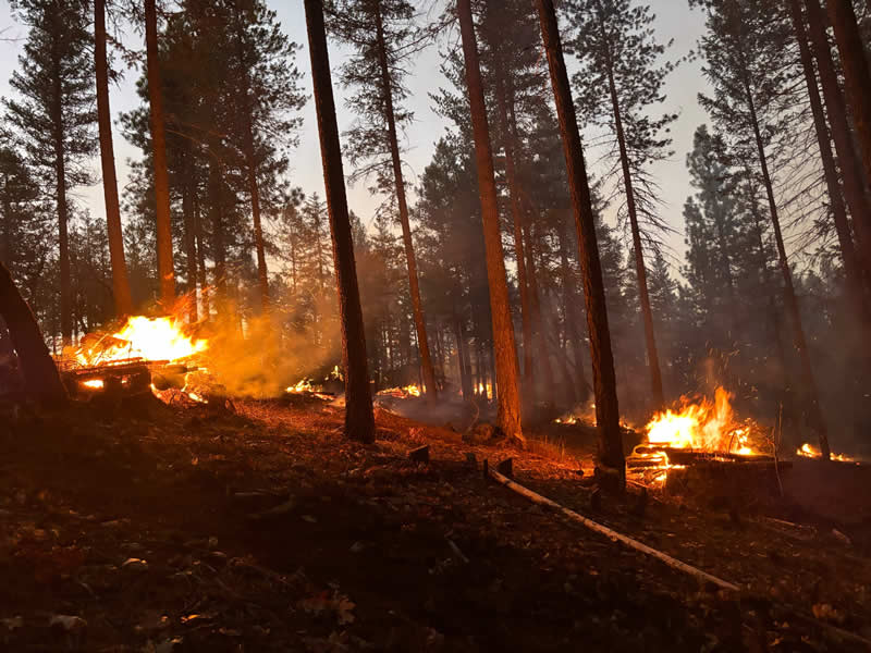 Terra Fuego Resource Foundation