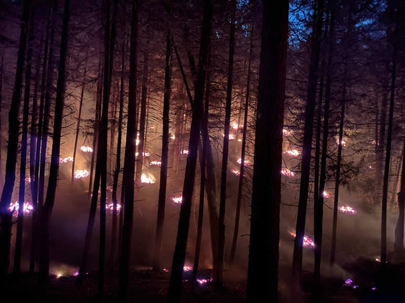 Terra Fuego Resource Foundation