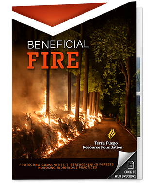 Terra Fuego Resource Foundation Brochure