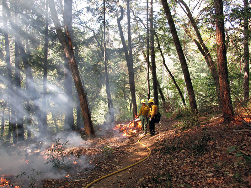 Terra Fuego Resource Foundation Controlled Burn